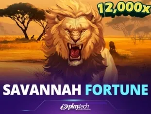 Savannah Fortune screenshot